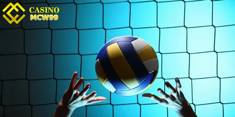 Cá cược thể thao - Những quy định mới nhất cho cược thủ 6 Bộ môn bóng chuyền hứa hẹn cá cược thể thao thú vị